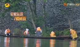 观观爆料箱没视频怎么办,视频缺席，精彩内容仍不容错过